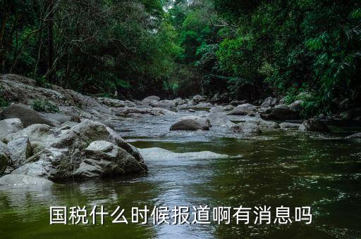 國稅同崗同籌什么時候實現，請問國稅什么時候才能實現陽光工資