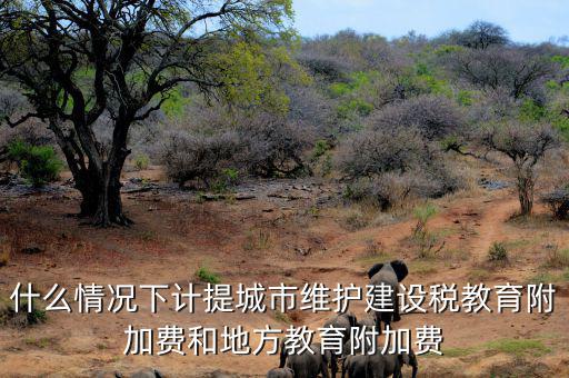 什么情況下免交地方教育稅附加，什么情況下計提城市維護建設稅教育附加費和地方教育附加費