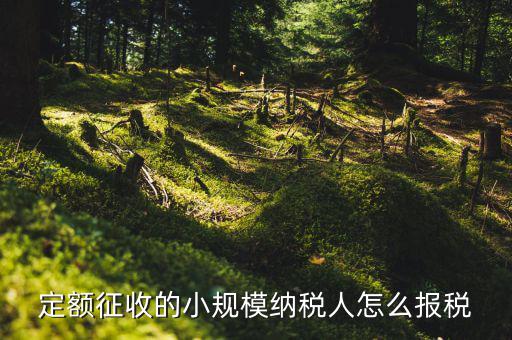 小規(guī)模納稅人 什么定額申報(bào)，定額征收的小規(guī)模納稅人怎么報(bào)稅