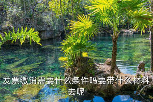 票證結(jié)報(bào)繳銷包括什么，去國稅局做稅票結(jié)報(bào)要帶哪些東西