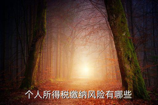 所得稅申報時有什么風(fēng)險提示，個人所得稅繳納風(fēng)險有哪些