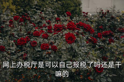 網(wǎng)上辦稅廳是可以自己報稅了嗎還是干嘛的