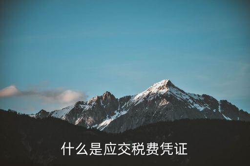 稅金憑證是什么意思，完稅證明什么意思