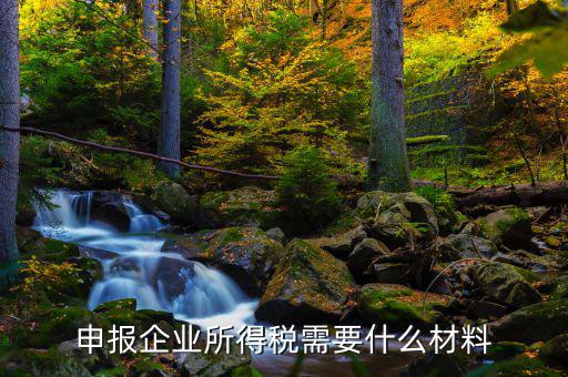 企業(yè)所得稅補(bǔ)申報(bào)需要什么，申報(bào)企業(yè)所得稅需要什么材料