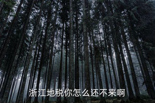 浙江地稅你怎么還不來(lái)啊