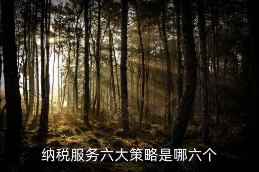 六大減稅措施是什么，針對(duì)個(gè)稅的減稅政策有哪些