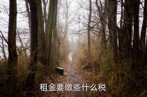承租者租金交什么稅，租金要繳些什么稅