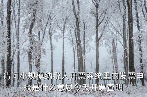 開票申報是什么原因，納稅申報出現的問題高手來解