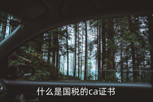 ca稅務數(shù)字證書是什么，什么是國稅的ca證書