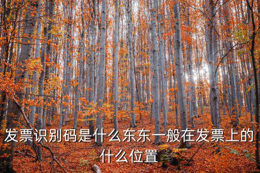 河北發(fā)票識(shí)別碼是什么意思，發(fā)票的識(shí)別碼是不是繳稅單位的稅號(hào)