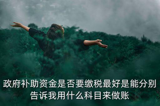 政府補(bǔ)貼交什么稅，關(guān)于政府補(bǔ)助的納稅問(wèn)題 請(qǐng)高手來(lái)回答啊 謝謝