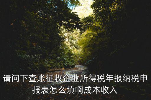企業(yè)所得稅申報(bào)查賬是什么表，剛注冊(cè)了一個(gè)小規(guī)模的公司企業(yè)所得稅是查帳征收企業(yè)所得稅報(bào)表