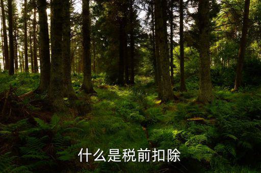 什么是所得稅前扣除，什么是稅前扣除