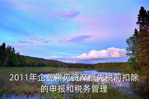 什么是資產(chǎn)損失屬于清單申報，資產(chǎn)損失稅前扣除什么是清單申報專項申報