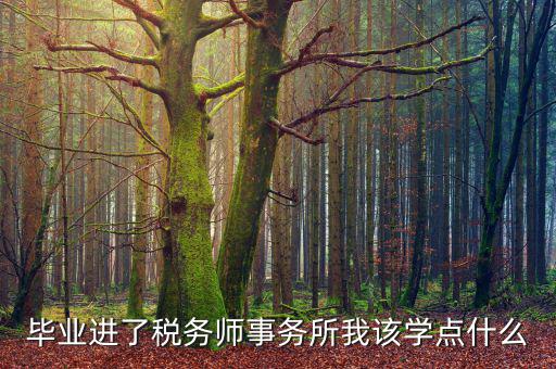 納稅人學(xué)堂講什么，稅務(wù)實(shí)務(wù)課講什么