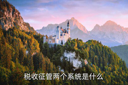 稅務(wù)什么叫核心征管系統(tǒng)，稅收征管兩個系統(tǒng)是什么