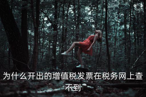 為什么我查不到發(fā)票，開了發(fā)票為什么在國稅官網(wǎng)上查詢不到