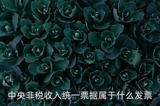 非稅發(fā)票是什么，中央非稅收入統(tǒng)一票據(jù)屬于什么發(fā)票