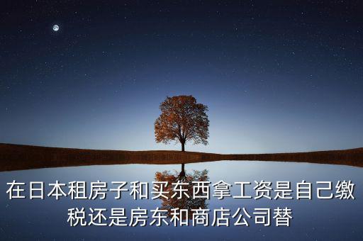 日本租稅法是什么稅，在日本租房子和買東西拿工資是自己繳稅還是房東和商店公司替