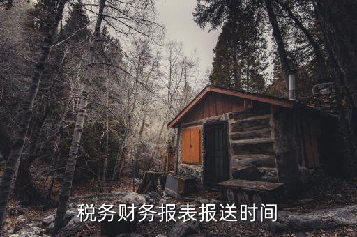 稅務財務報表報送時間