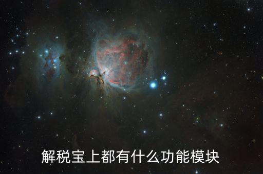 稅寶是什么意思，解稅寶上都有什么功能模塊