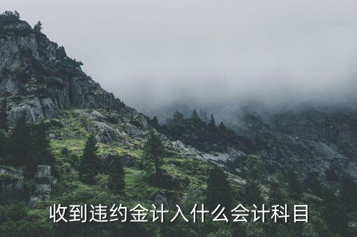 收到違約金計(jì)入什么會計(jì)科目