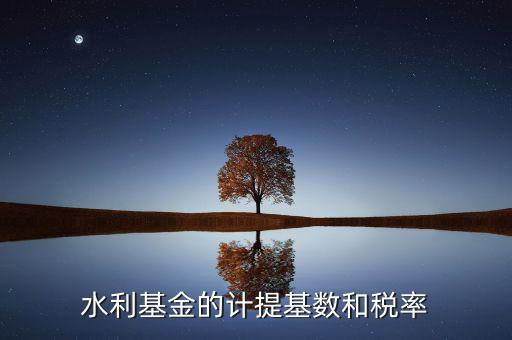 水利基金計算基數(shù)是什么意思，水利基金的計提基數(shù)和稅率