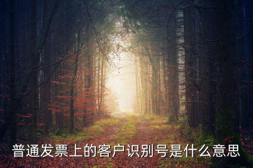 普通發(fā)票上的客戶(hù)識(shí)別號(hào)是什么意思