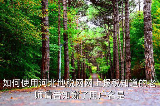 河北省地稅登陸的用戶名是什么意思，在網(wǎng)上報(bào)稅登陸時(shí)用戶名是什么