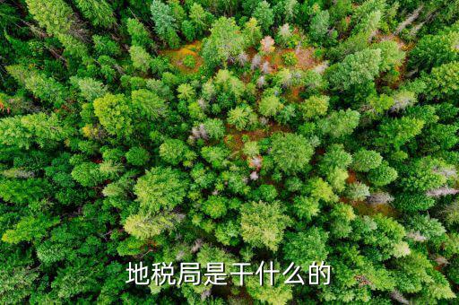 地稅主要負責什么工作總結，地稅局一般做什么工作啊