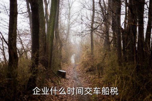 什么時候申報車船稅，車船稅應(yīng)當(dāng)在什么時候申報繳納 承德