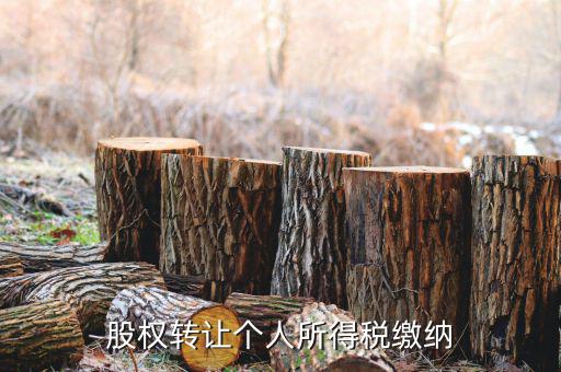 股權(quán)轉(zhuǎn)讓如何繳納個稅，個人股權(quán)轉(zhuǎn)讓如何納稅