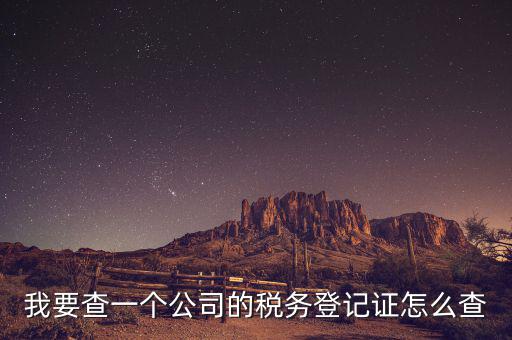 股東如何查詢企業(yè)稅務，我要查一個公司的稅務登記證怎么查