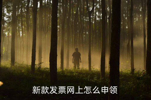 新款發(fā)票網上怎么申領
