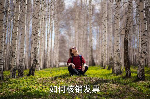 如何網(wǎng)上核銷發(fā)票，怎樣開普通發(fā)票網(wǎng)上核銷