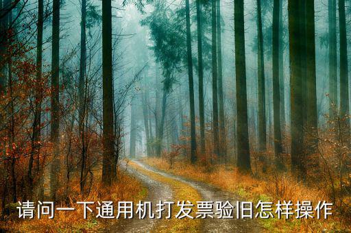 請問一下通用機(jī)打發(fā)票驗舊怎樣操作