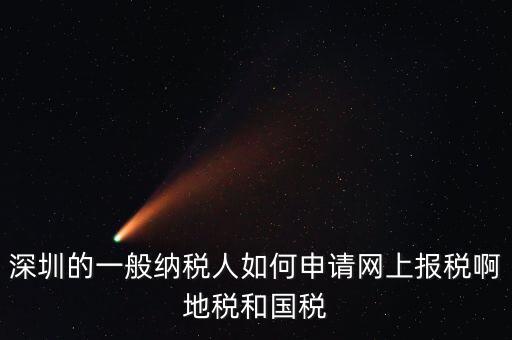 深圳的一般納稅人如何申請網上報稅啊地稅和國稅