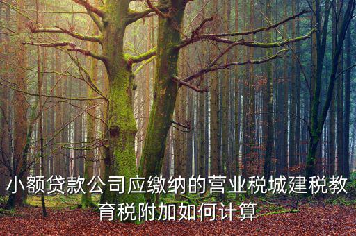 小額貸款公司如何繳稅，小額貸款公司的營業(yè)稅怎么算 sitewenwensosocom