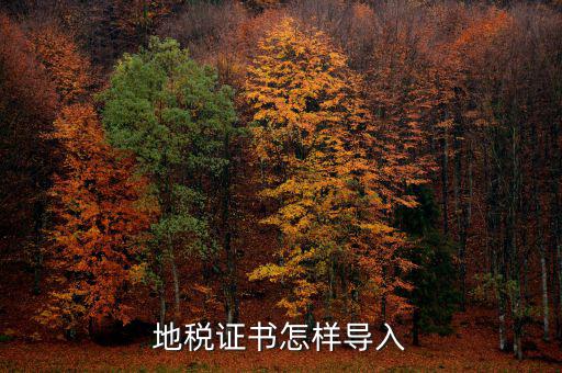 如何安裝深圳地稅證書，地稅證書怎樣導(dǎo)入