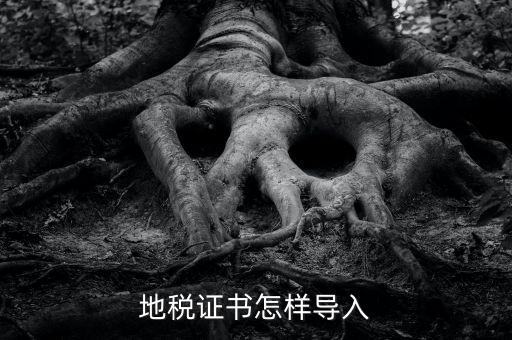 如何導(dǎo)入地稅證書，地稅證書怎樣導(dǎo)入