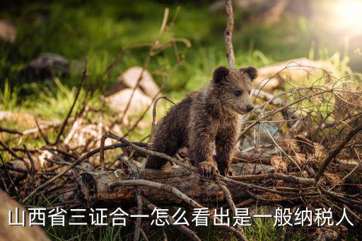 山西省如何查詢納稅人，為什么山西國稅發(fā)票無法查詢真?zhèn)?/></a></span><span id=