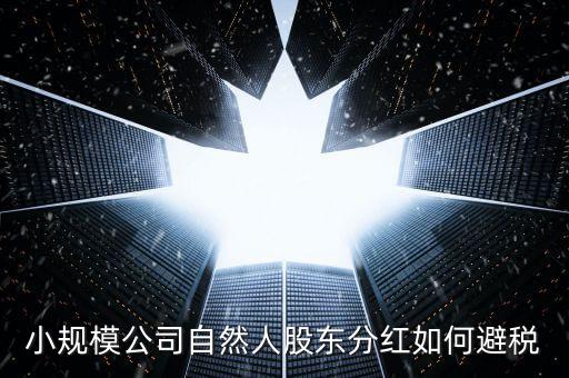 個人股東分紅如何避稅，小規(guī)模公司自然人股東分紅如何避稅