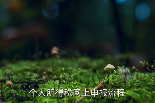 如何網(wǎng)上申請(qǐng)個(gè)稅，個(gè)人所得稅網(wǎng)上申報(bào)流程