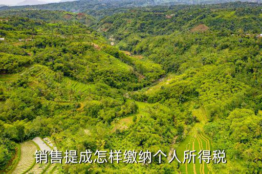支付個人的銷售回扣如何征收個稅，付別人回扣5791462元 如何扣取個人所得稅請老師詳解在此感