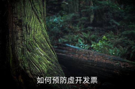 如何預(yù)防虛開(kāi)發(fā)票