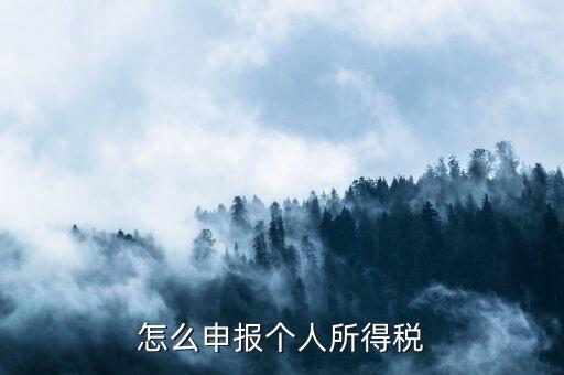 如何申報個人所得稅，怎么申報個人所得稅