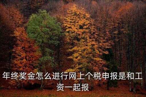 年終獎(jiǎng)個(gè)稅如何申報(bào)，年終獎(jiǎng)怎樣申報(bào)個(gè)稅