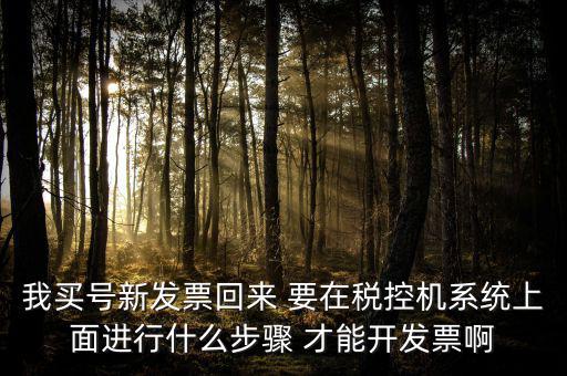 稅控系統(tǒng)如何開票，我買號新發(fā)票回來 要在稅控機系統(tǒng)上面進行什么步驟 才能開發(fā)票啊