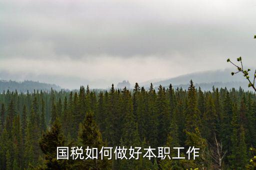 如何做好基層國稅工作，如何做好新形勢下的國稅工作