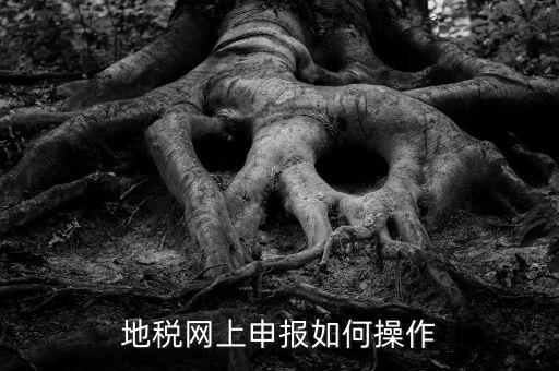 地稅網(wǎng)如何申報，地稅網(wǎng)上申報如何操作